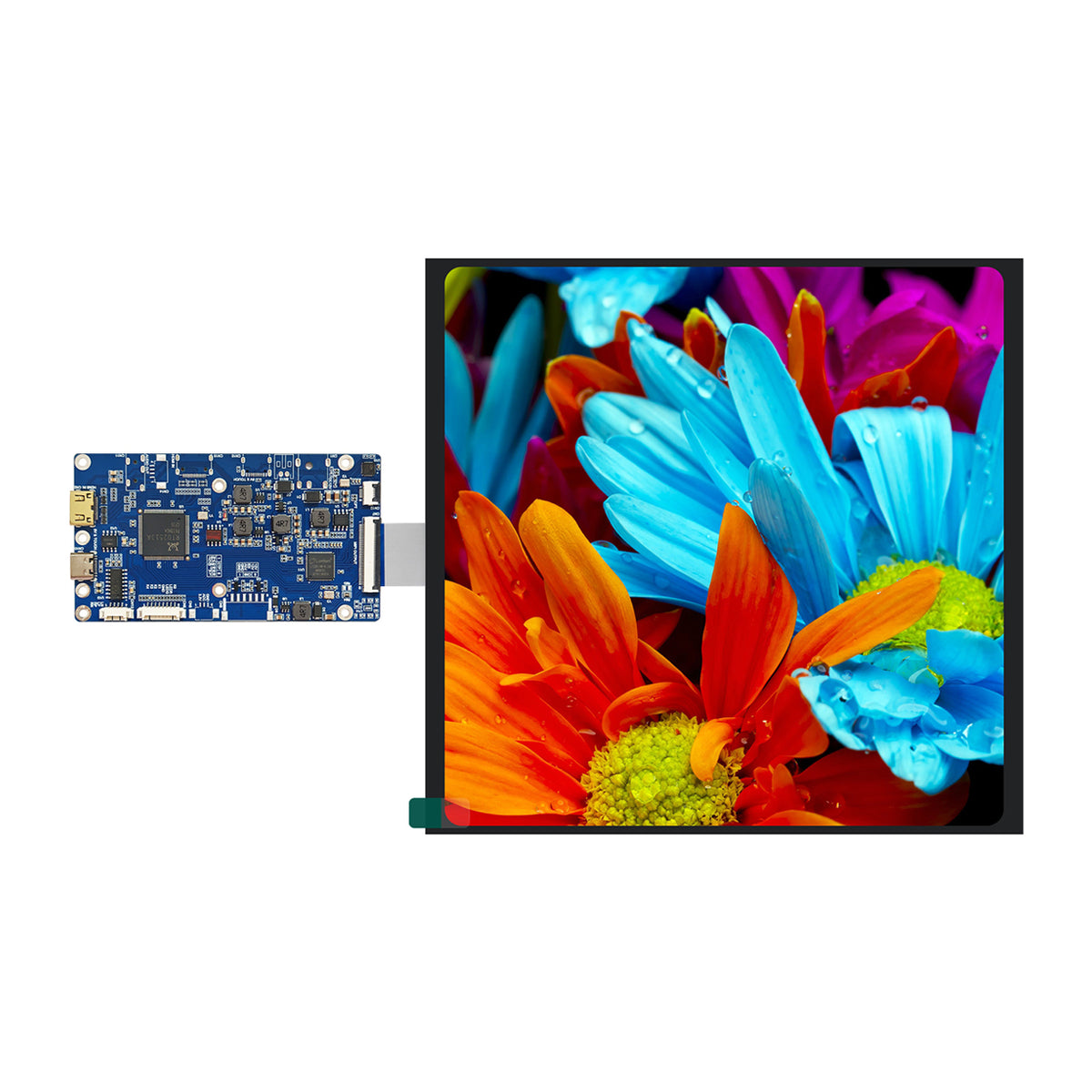 10-inch square TFT display showing colorful flowers, connected to an HDMI driver board